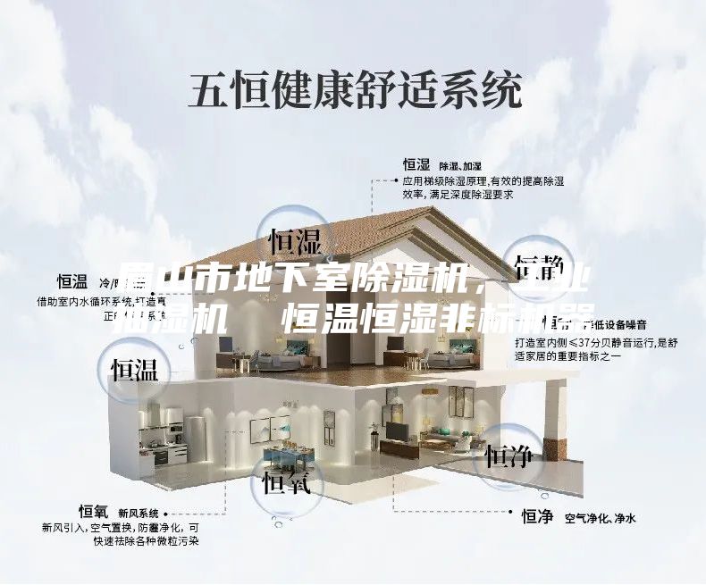 眉山市地下室除湿机，工业抽湿机  恒温恒湿非标机器
