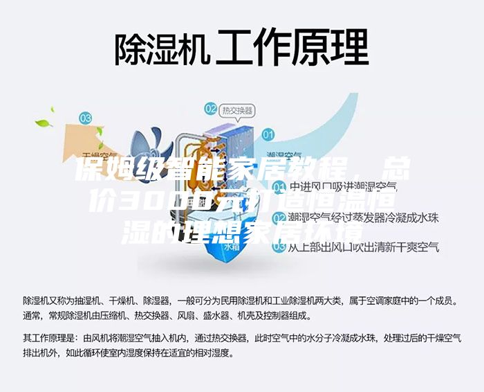 保姆级智能家居教程，总价3000元打造恒温恒湿的理想家居环境