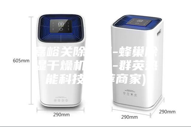 嘉峪关除湿机-蜂巢除湿干燥机定制-群英热能科技(推荐商家)