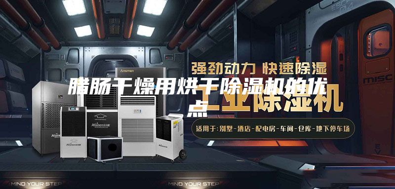 腊肠干燥用烘干除湿机的优点
