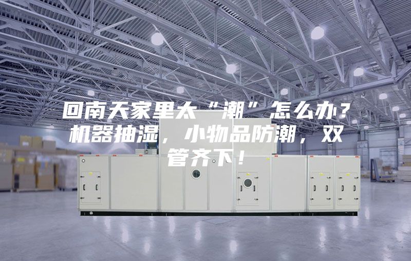 回南天家里太“潮”怎么办？机器抽湿，小物品防潮，双管齐下！