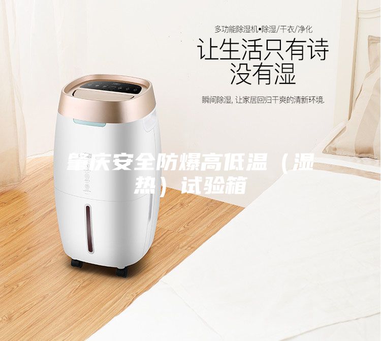 肇庆安全防爆高低温（湿热）试验箱