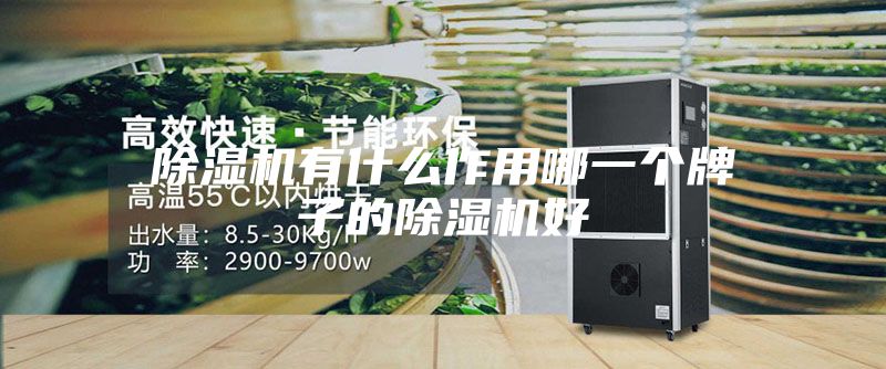 除湿机有什么作用哪一个牌子的除湿机好