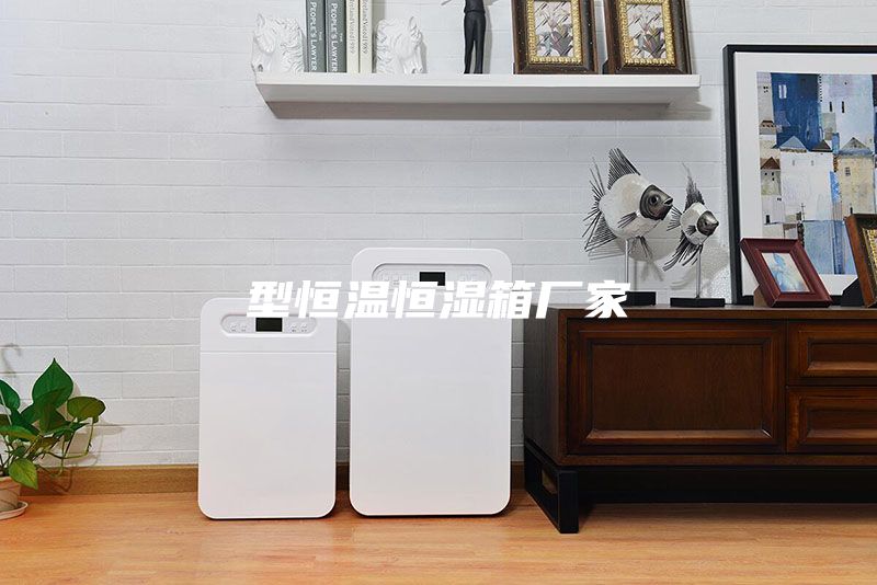 型恒温恒湿箱厂家