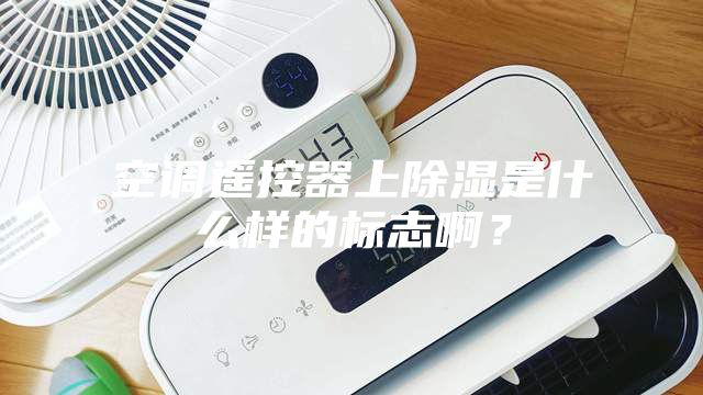 空调遥控器上除湿是什么样的标志啊？