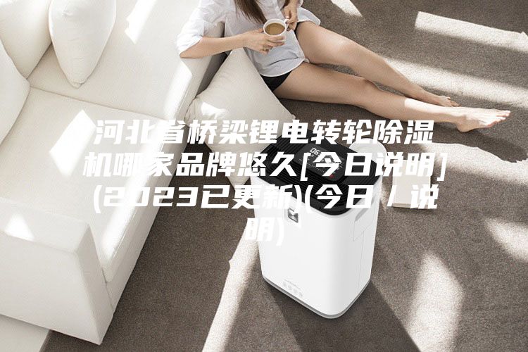 河北省桥梁锂电转轮除湿机哪家品牌悠久[今日说明](2023已更新)(今日／说明)