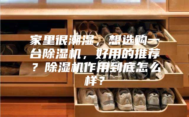 家里很潮湿，想选购一台除湿机，好用的推荐？除湿机作用到底怎么样？