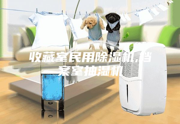 收藏室民用除湿机,档案室抽湿机