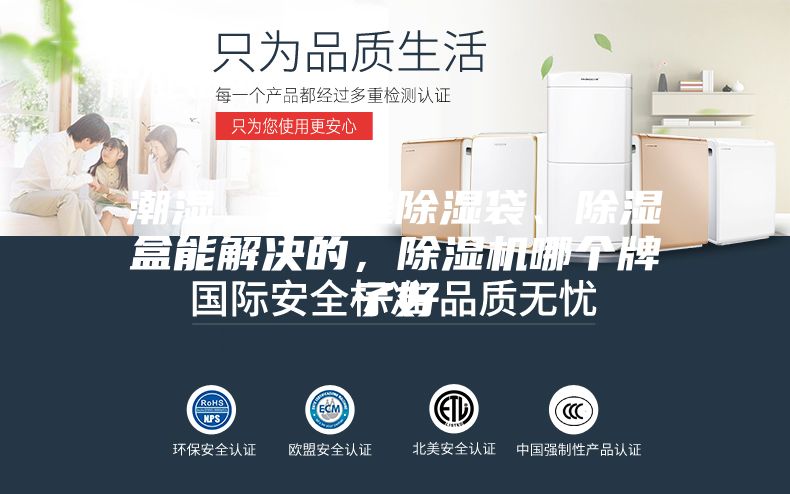 潮湿，真不是除湿袋、除湿盒能解决的，除湿机哪个牌子好