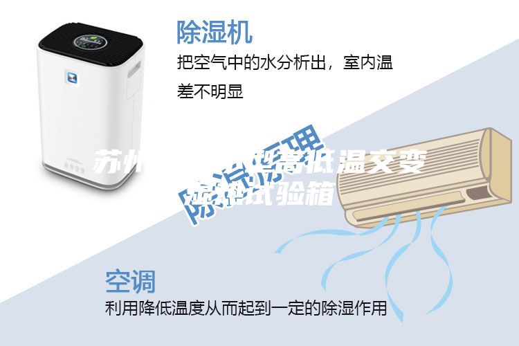 苏州广郡小型高低温交变湿热试验箱