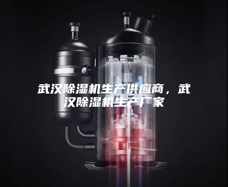 武汉除湿机生产供应商，武汉除湿机生产厂家