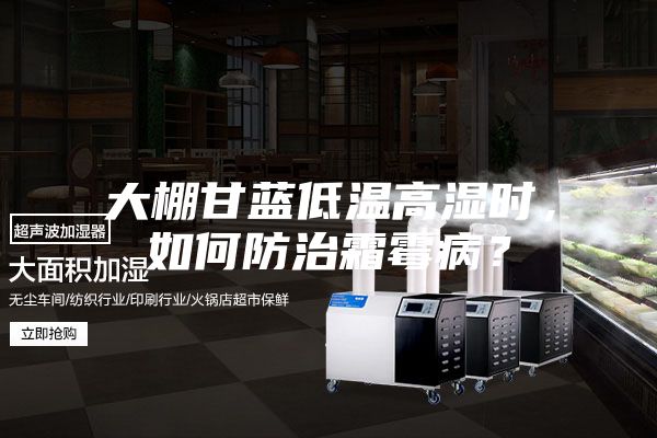 大棚甘蓝低温高湿时，如何防治霜霉病？