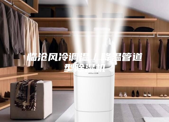 临沧风冷调温/降温管道型除湿机