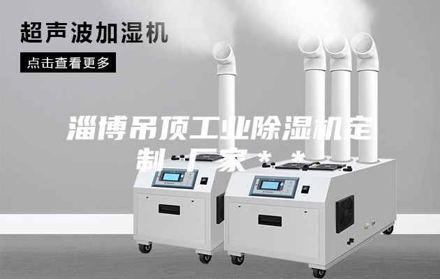 淄博吊顶工业除湿机定制 厂家＊＊