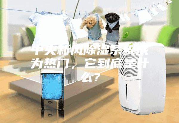 中央新风除湿系统成为热门，它到底是什么？