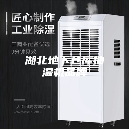 湖北地下仓库抽湿机品牌