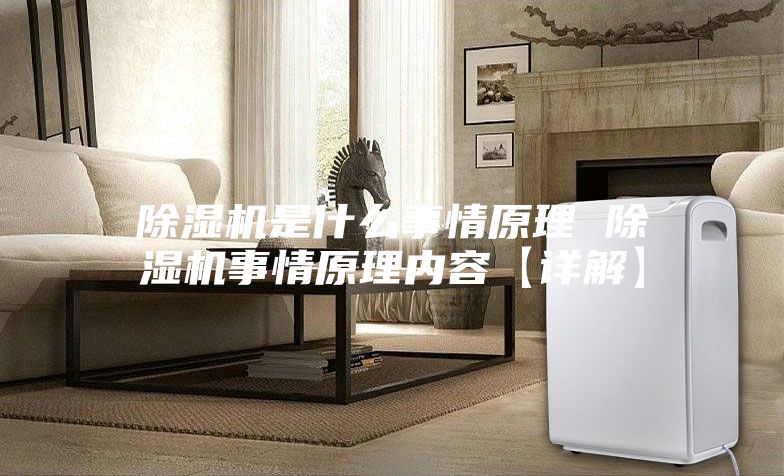 除湿机是什么事情原理 除湿机事情原理内容【详解】
