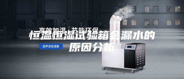 恒温恒湿试验箱会漏水的原因分析