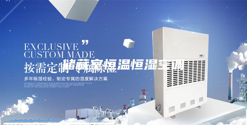 储藏室恒温恒湿空调