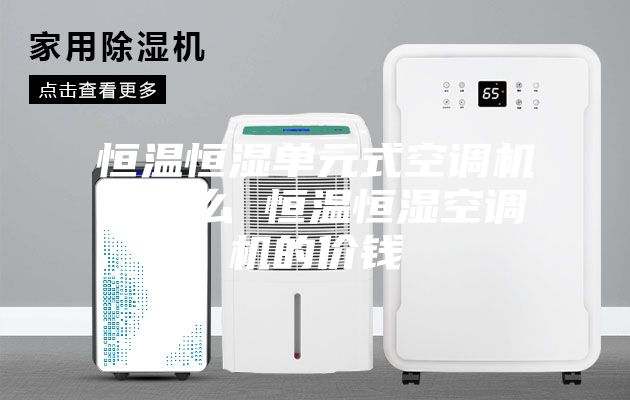 恒温恒湿单元式空调机是什么 恒温恒湿空调机的价钱