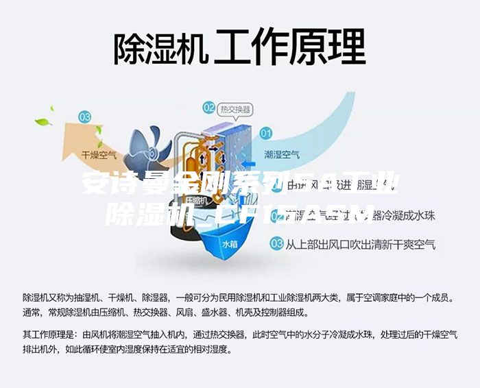 安诗曼金刚系列5A工业除湿机_CF15ASM