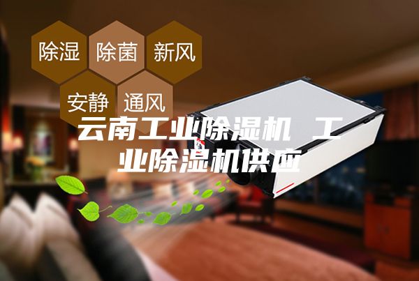 云南工业除湿机 工业除湿机供应