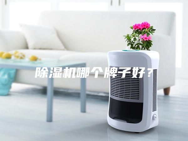 除湿机哪个牌子好？