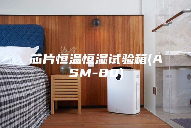 芯片恒温恒湿试验箱(ASM-80)
