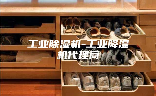 工业除湿机-工业降湿机代理商