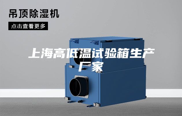 上海高低温试验箱生产厂家