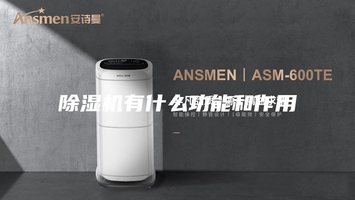除湿机有什么功能和作用