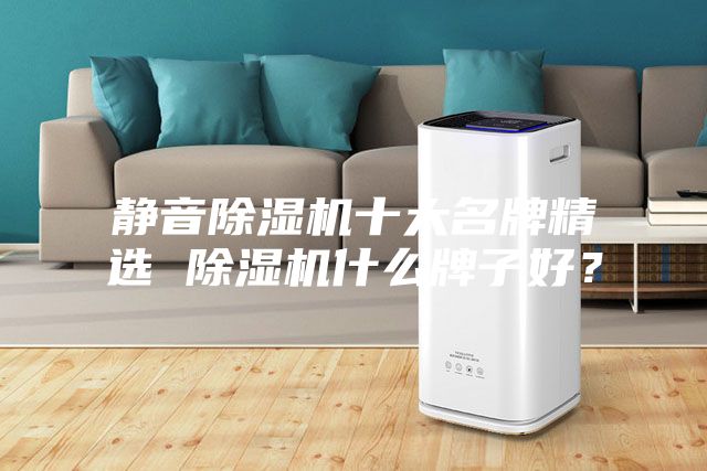 静音除湿机十大名牌精选 除湿机什么牌子好？