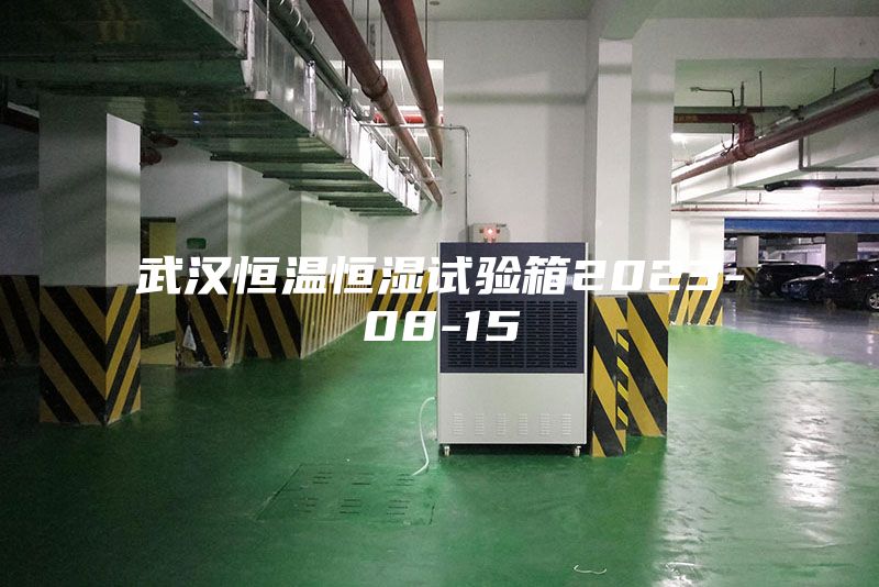 武汉恒温恒湿试验箱2023-08-15