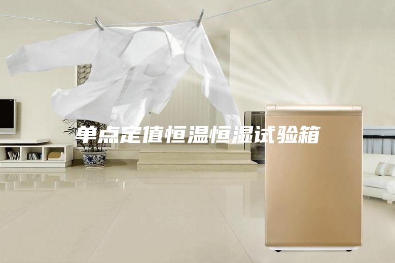 单点定值恒温恒湿试验箱