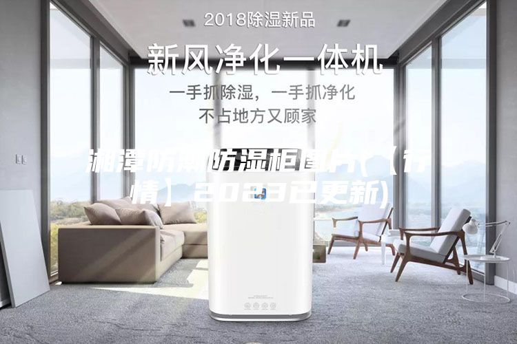 湘潭防潮防湿柜图片(【行情】2023已更新)