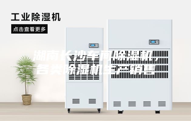 湖南长沙车间除湿机，各类除湿机生产销售