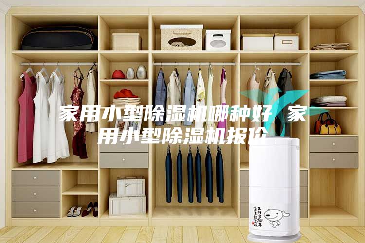 家用小型除湿机哪种好 家用小型除湿机报价