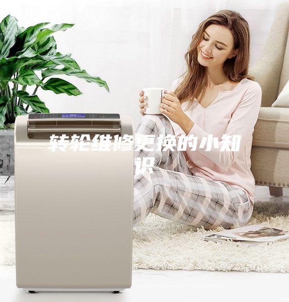 转轮维修更换的小知识