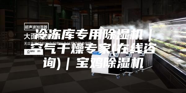 冷冻库专用除湿机|空气干燥专家(在线咨询)|宝鸡除湿机