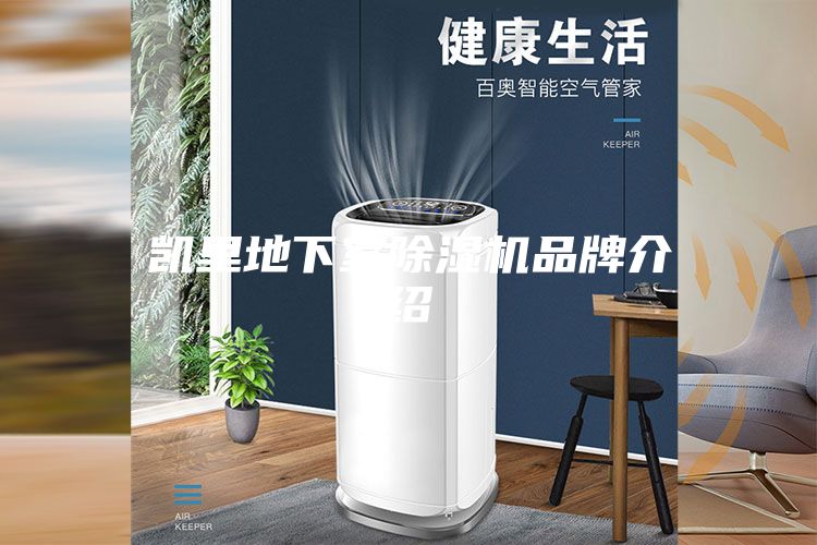 凯里地下室除湿机品牌介绍