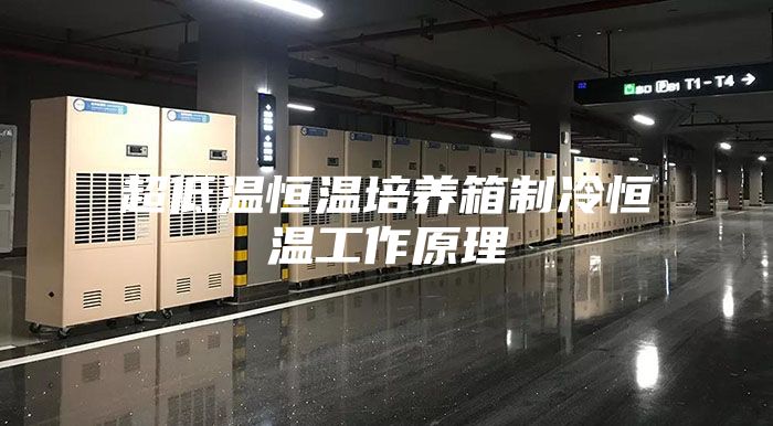 超低温恒温培养箱制冷恒温工作原理