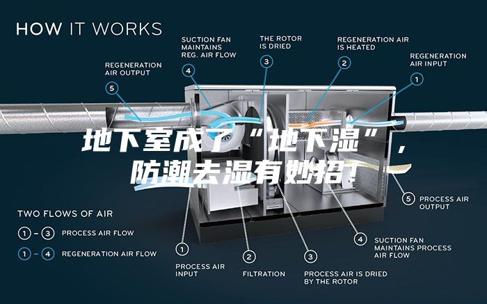 地下室成了“地下湿”，防潮去湿有妙招！