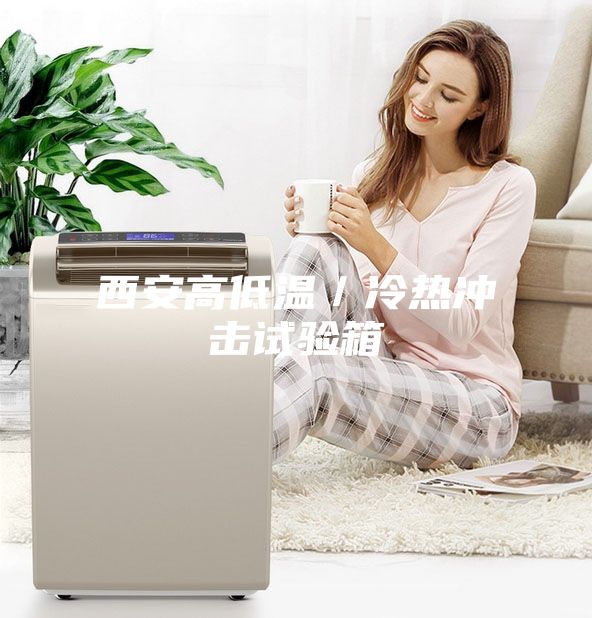 西安高低温／冷热冲击试验箱