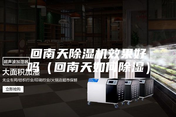 回南天除湿机效果好吗（回南天如何除湿）