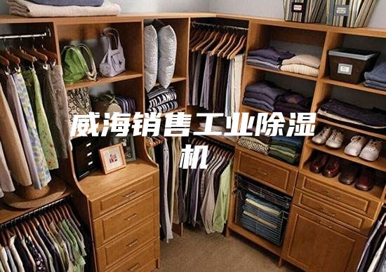 威海销售工业除湿机