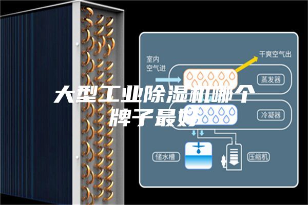 大型工业除湿机哪个牌子最好