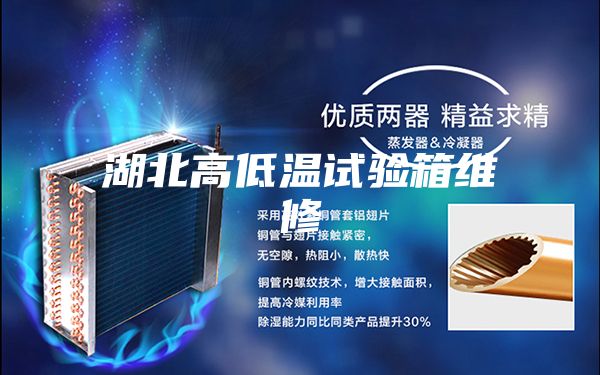 湖北高低温试验箱维修