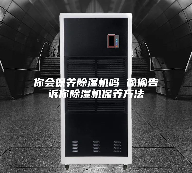 你会保养除湿机吗 偷偷告诉你除湿机保养方法