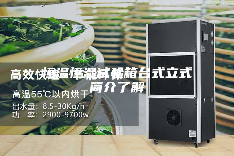 恒温恒湿试验箱台式立式简介了解