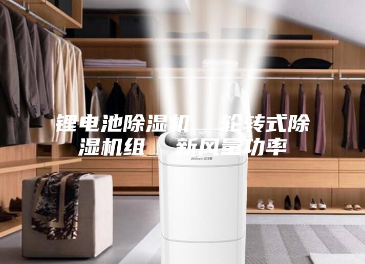 锂电池除湿机  轮转式除湿机组  新风量功率